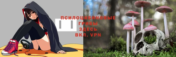 спиды Арсеньев