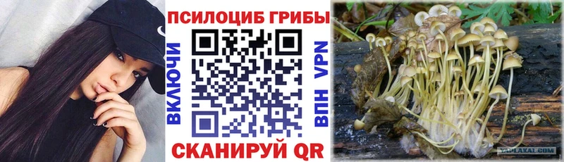 как найти закладки  Карасук  Псилоцибиновые грибы мухоморы 